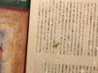 金井美恵子全短篇 月報 : 1～3