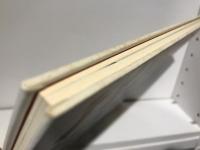 Comes mart : Junzo Terada exhibition