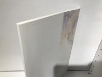 栄永大治良展 : 具象絵画の光彩