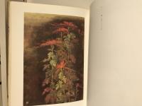 石本正展 : 聖なる視線のかなたに