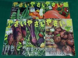 やさい畑 6号(2014-2015)+別冊付録14冊セット