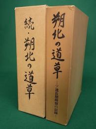 朔北の道草　ソ連長期抑留の記録　正・続２冊揃