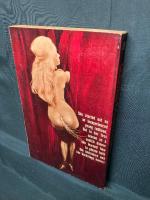 CARNIVAL MISTRESS ： THE STORY OF AN EASY-LOVING COOTCH DANCER