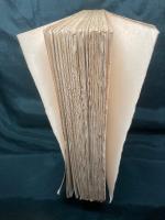 L'HOMME, CET INCONNU