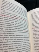 This thing of darkness : a sociology of the enemy