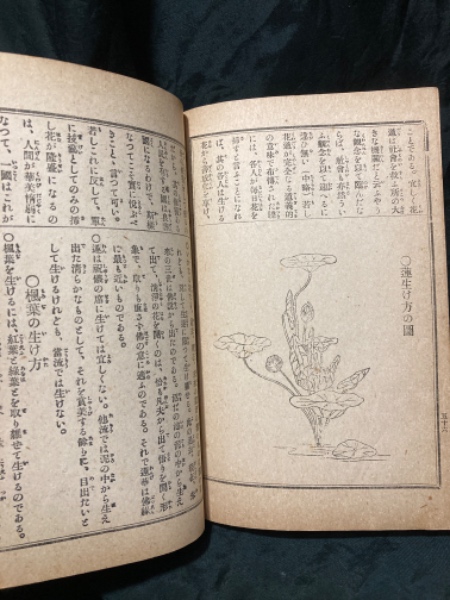 池の坊流生花の手びき(小倉照月 著) / 北山書店 / 古本、中古本