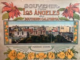 SOUVENIR ALBUM FROM LOS ANGELES AND VICINITY.