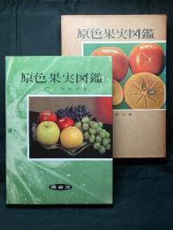 原色果実図鑑