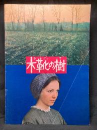 木靴の樹