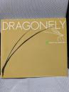 Dragonfly: Onaka Koji2002-2007