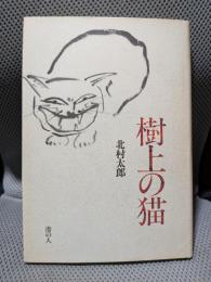 樹上の猫