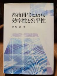 都市再生における効率性と公平性