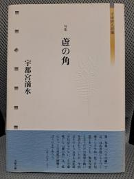 蘆の角―句集 (平成俳人群像)