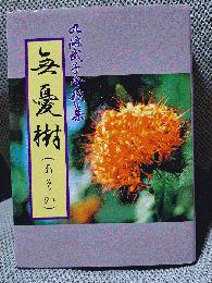 無憂樹(あそか)ー九條武子全歌集