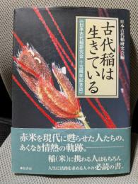 古代稲は生きている