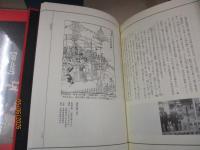 大系日本歴史と芸能（音と映像と文字による）第5巻　踊る人々：民族宗教の展開