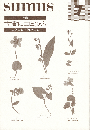 sumus 7号　特集：古書にコミあり（書きコミ・挟みコミ）