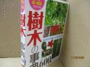 樹木の事典600種：葉・花・実・樹皮でひける
