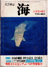 海 1978年6月号　特集：トマス・ピンチョン SF的想像力
