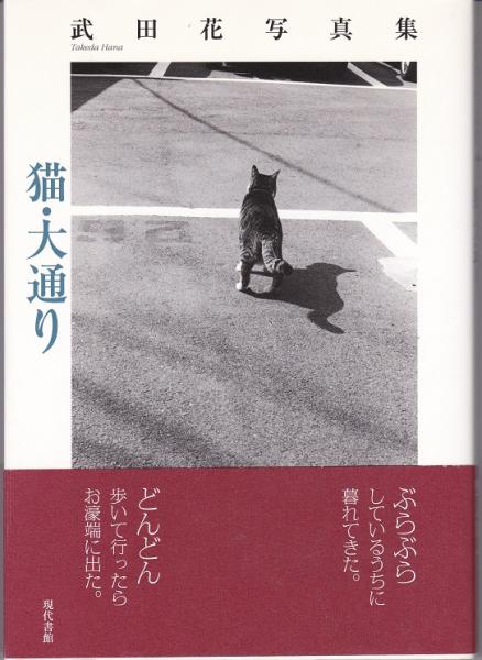 猫 大通り 武田花写真集 武田花 獺祭書房 古本 中古本 古書籍の通販は 日本の古本屋 日本の古本屋
