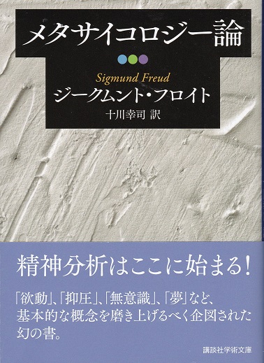 メタサイコロジー論 ジークムント フロイト著 十川幸司 訳 獺祭書房 古本 中古本 古書籍の通販は 日本の古本屋 日本の古本屋 メタサイコロジー論 ジークムント フロイト著 十川幸司 訳 獺祭書房 古本 中古本 古書籍の通販は 日本の古本屋 日本の古本屋