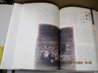 わたしの博物誌