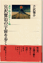 宮沢賢治の宇宙を歩く : 童話・詩を読みとく鍵