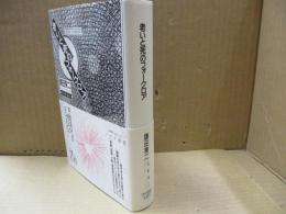 老いと死のフォークロア : 翁童論2