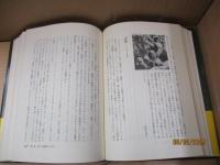 淀川長治シネマパラダイス