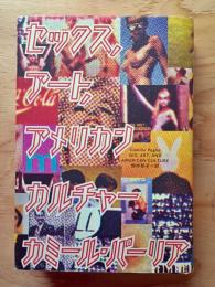 セックス,アート,アメリカンカルチャー