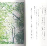 光と游ぶ 賀茂御祖神社(下鴨神社)糺の森の四季