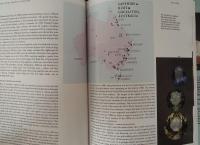 洋書　Gemstones of the Southern Continents　南部大陸の宝石用原石
