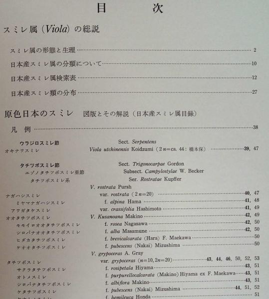 原色日本のスミレ 初版第1刷 原色日本のスミレ(浜栄助 著) / 株式会社 wit tech / 古本、中古本、古