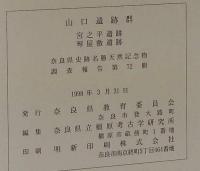 山口遺跡群