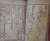 諸流生花秘伝書　3冊揃