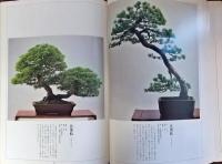 盆栽水石