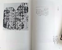 漢代石刻集成 : 京都大学人文科学研究所研究報告