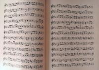 Les Systemes De La Musique Traditionnelle De L'iran (Radif)