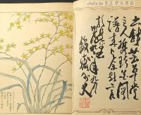 珍花圖譜