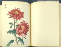 契花百菊　全3巻
