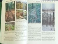 Encyclopedia of Forest Sciences VOLUME1-4 SET