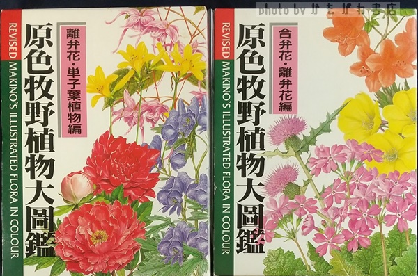 原色牧野植物大図鑑 2冊セット平成8年6月初版