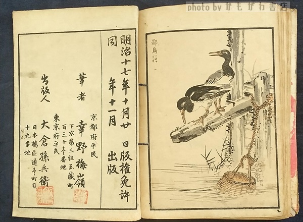 高級感 楳嶺百鳥画譜(幸野楳嶺 画) 古本、中古本、古書籍の通販は / その他