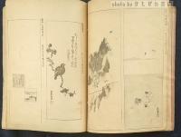尾形流畫譜　上・中
