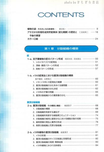 未使用】 植物の形を決める分子機構 形態形成を支配する遺伝子の