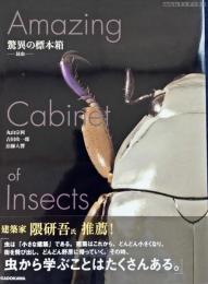 驚異の標本箱 : 昆虫