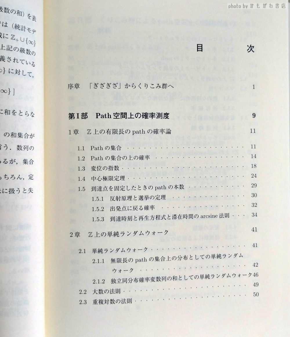 ランダムウォークとくりこみ群 : 確率論から数理物理学へ(共立