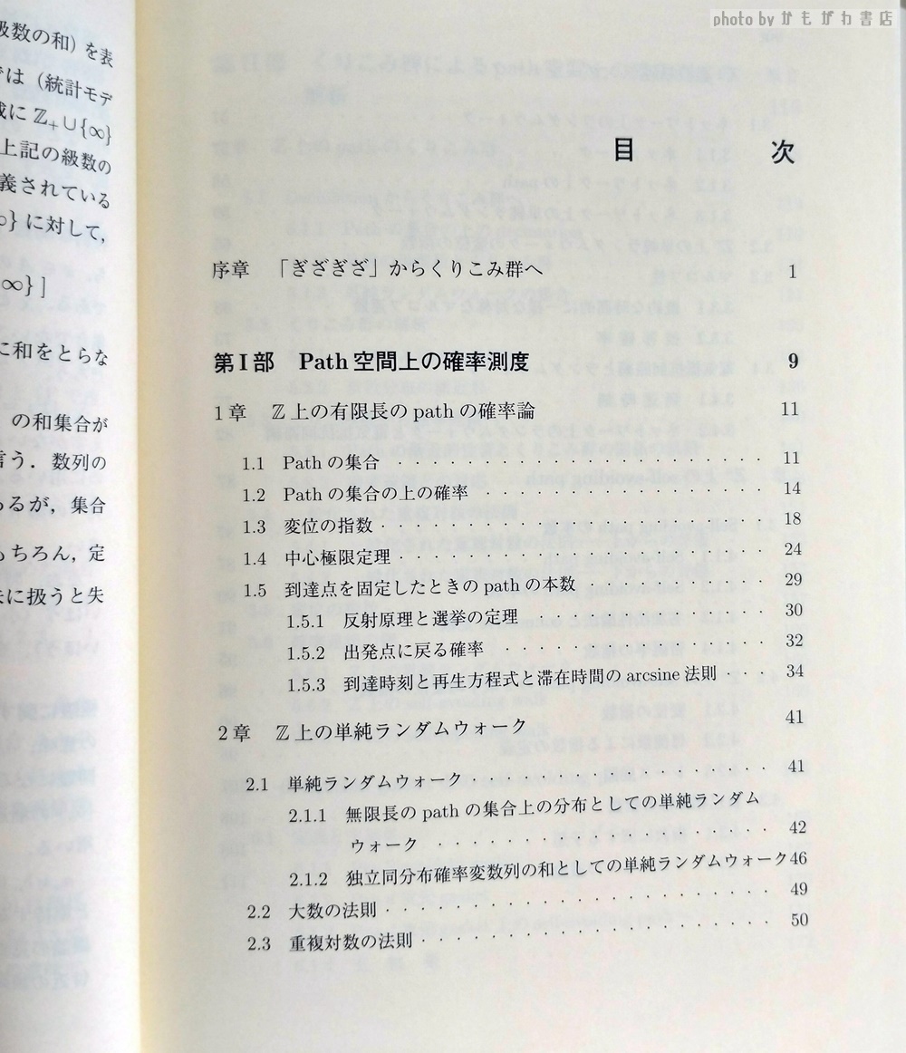 ランダムウォークとくりこみ群 : 確率論から数理物理学へ(服部哲弥 著