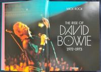 THE RISE OF DAVID BOWIE 1972-1973　デヴィッド・ボウイ