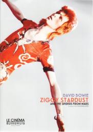 デヴィッド・ボウイ ジギー・スターダスト パンフレット ＤＡＶＩＤ ＢＯＷＩＥ ＺＩＧＧＹ ＳＴＡＲＤＵＳＴ